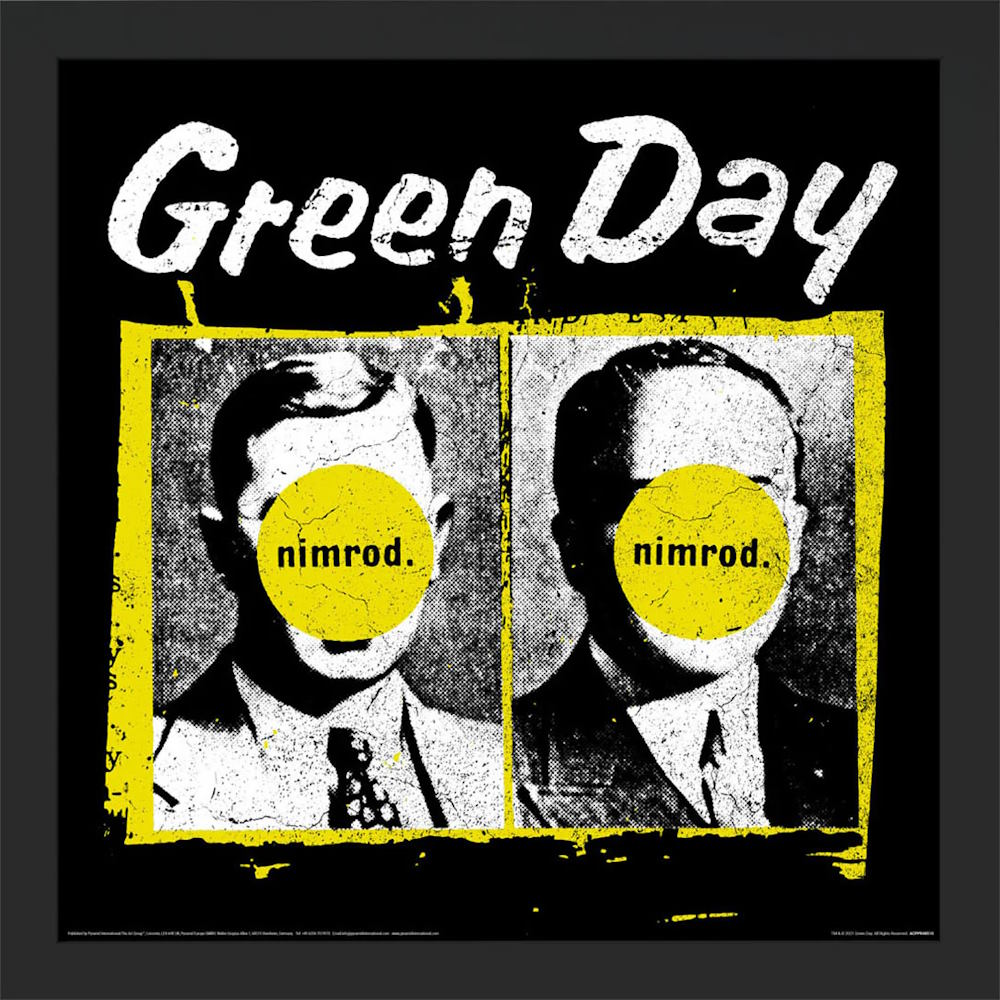GREEN DAY グリーンデイ - Nimrod (アルバム・シリーズ額) / インテリア額 - PGS